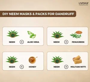 Using Neem Leaves to Get Rid of Dandruff Naturally 1