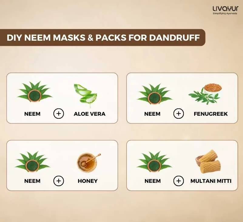 Using Neem Leaves to Get Rid of Dandruff Naturally 1