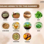 10 Cooling Herbs You Must Try This Summer 19 11zon