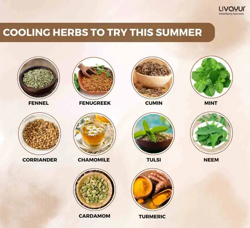 10 Cooling Herbs You Must Try This Summer
