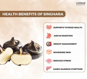 7 Nutritional Health Benefits of Singhara 1 11zon