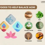 Ayurvedic Dietary Recommendations for Balancing Agni During the Summer Months 1 5 11zon