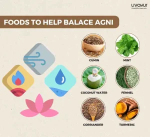 Ayurvedic Dietary Recommendations for Balancing Agni During the Summer Months 1 5 11zon