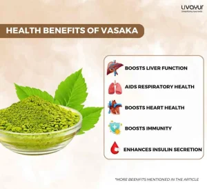 Discover the Health Benefits of Vasaka And How to Use It 11zon