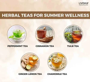 Herbal Teas for Summer Wellness 4 11zon