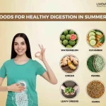 Mindful Eating in Summer Ayurvedic Strategies for Healthy Digestion 1 3 11zon
