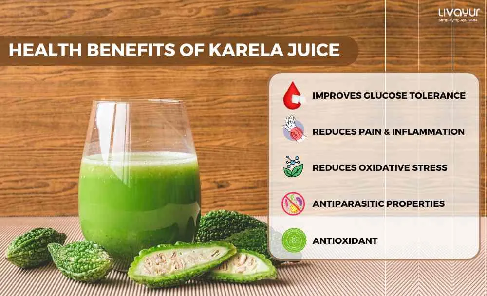 The Complete Guide to Karela Juice Nutrition Benefits and How To Make It 1 11zon