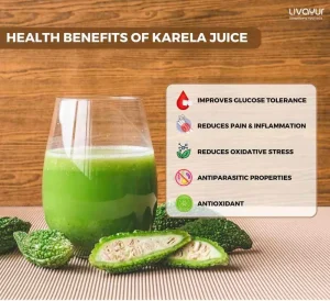 The Complete Guide to Karela Juice Nutrition Benefits and How To Make It 11zon