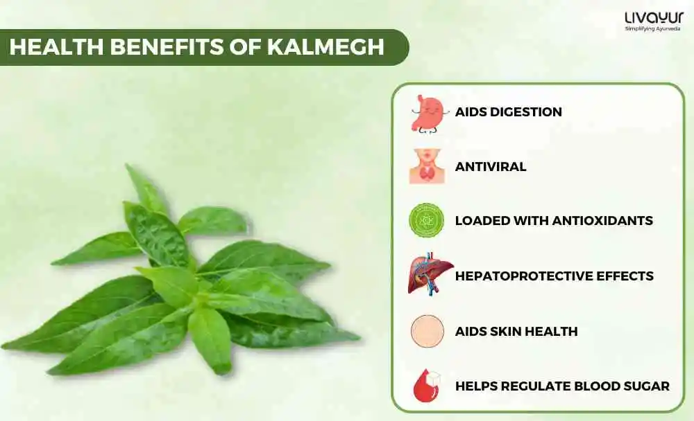 The Multiple Benefits And Uses of Kalmegh 1