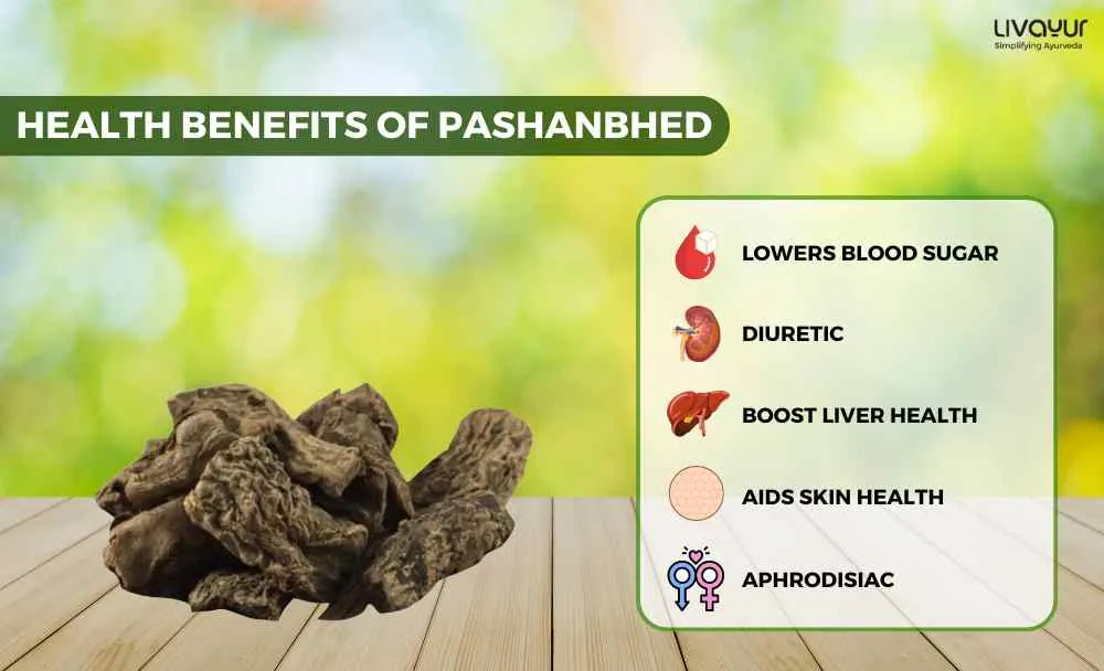 Discover The Incredible Benefits Of Pashanbhed And Its Uses 1 11zon