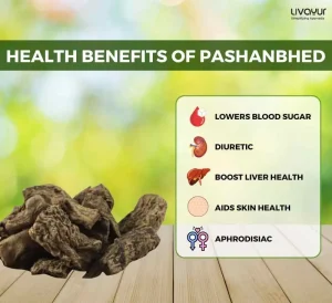 Discover The Incredible Benefits Of Pashanbhed And Its Uses 11zon