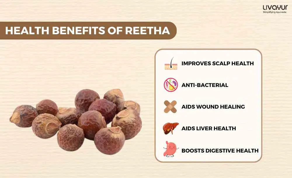 Discover The Incredible Benefits Of Reetha And Its Uses 1 11zon