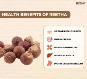 Discover The Incredible Benefits Of Reetha And Its Uses 11zon