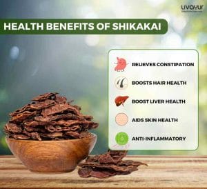 Discover The Incredible Benefits Of Shikakai And Its Uses