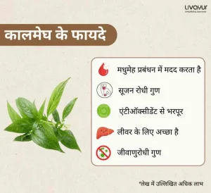 कालमेघ इस आयुर्वेदिक जड़ी बूटी के 9 बेहतरीन फायदे