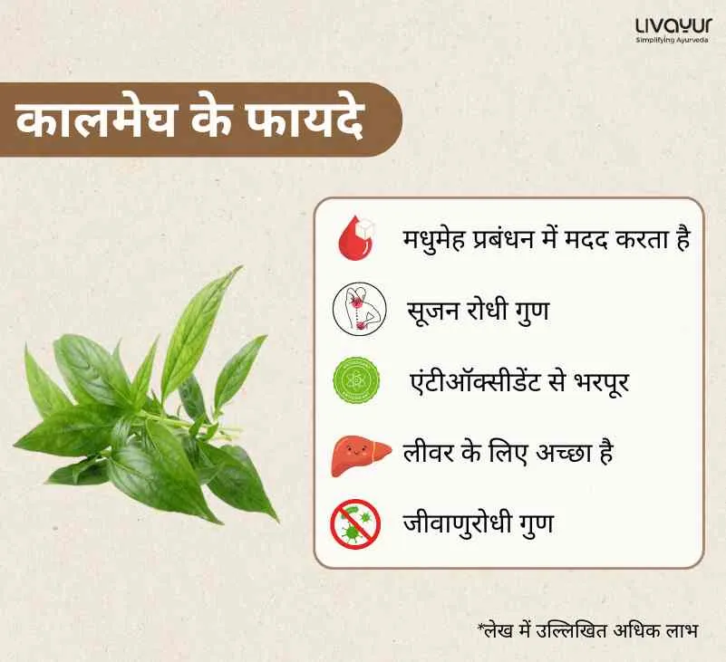 कालमेघ इस आयुर्वेदिक जड़ी बूटी के 9 बेहतरीन फायदे