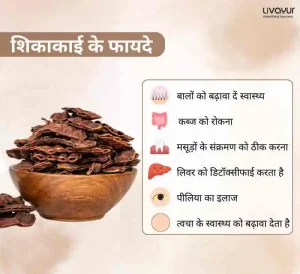 जानिए शिकाकाई के बेहतरीन फायदे और इसके उपयोग