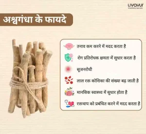 दूध के साथ अश्वगंधा के बेहतरीन स्वास्थ्य लाभ