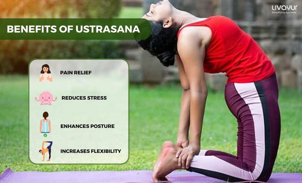 Ustrasana Camel Pose Benefits How to do it Step by Step 1